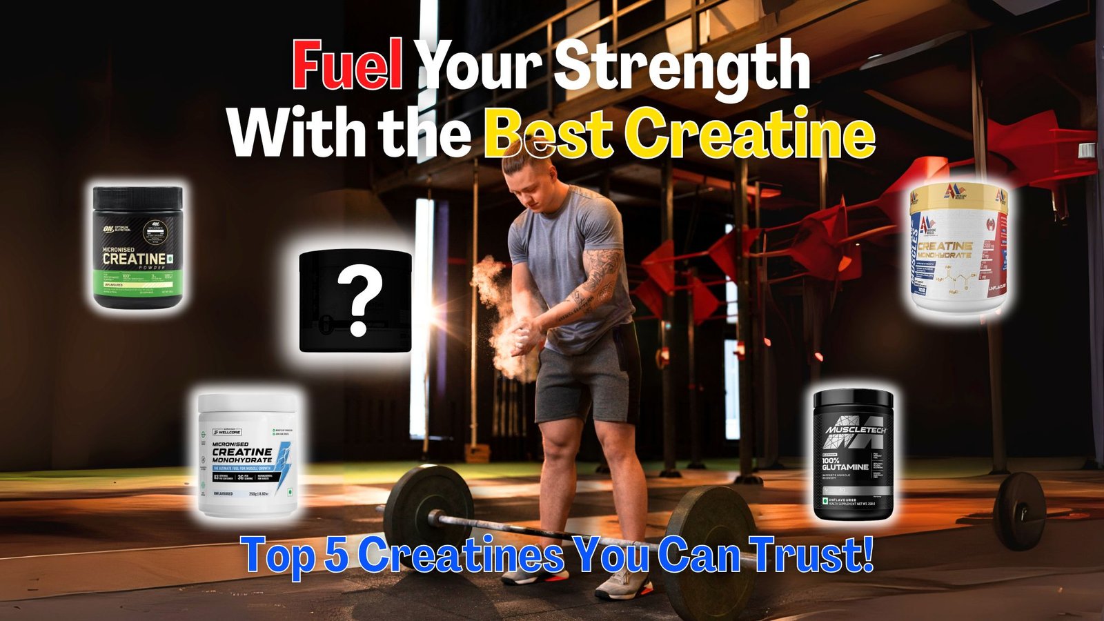 Top 5 Creatine Supplements Trusted by Athletes for Strength & Power
